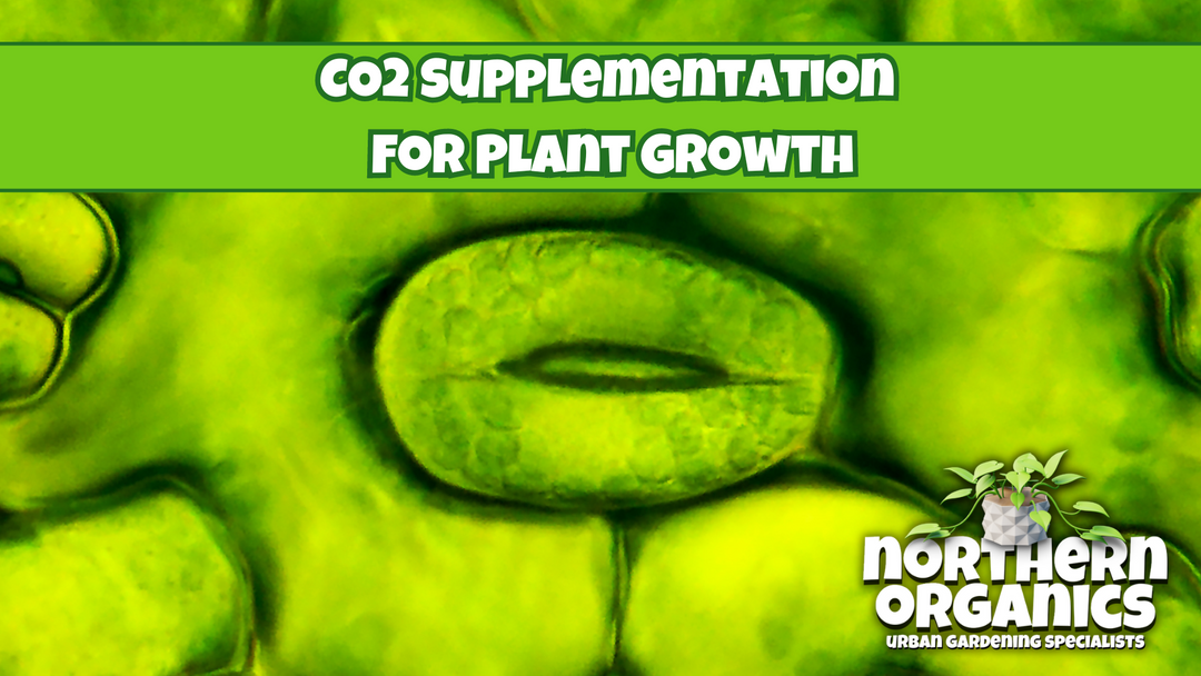 Carbon Dioxide Supplementation for Plant Growth