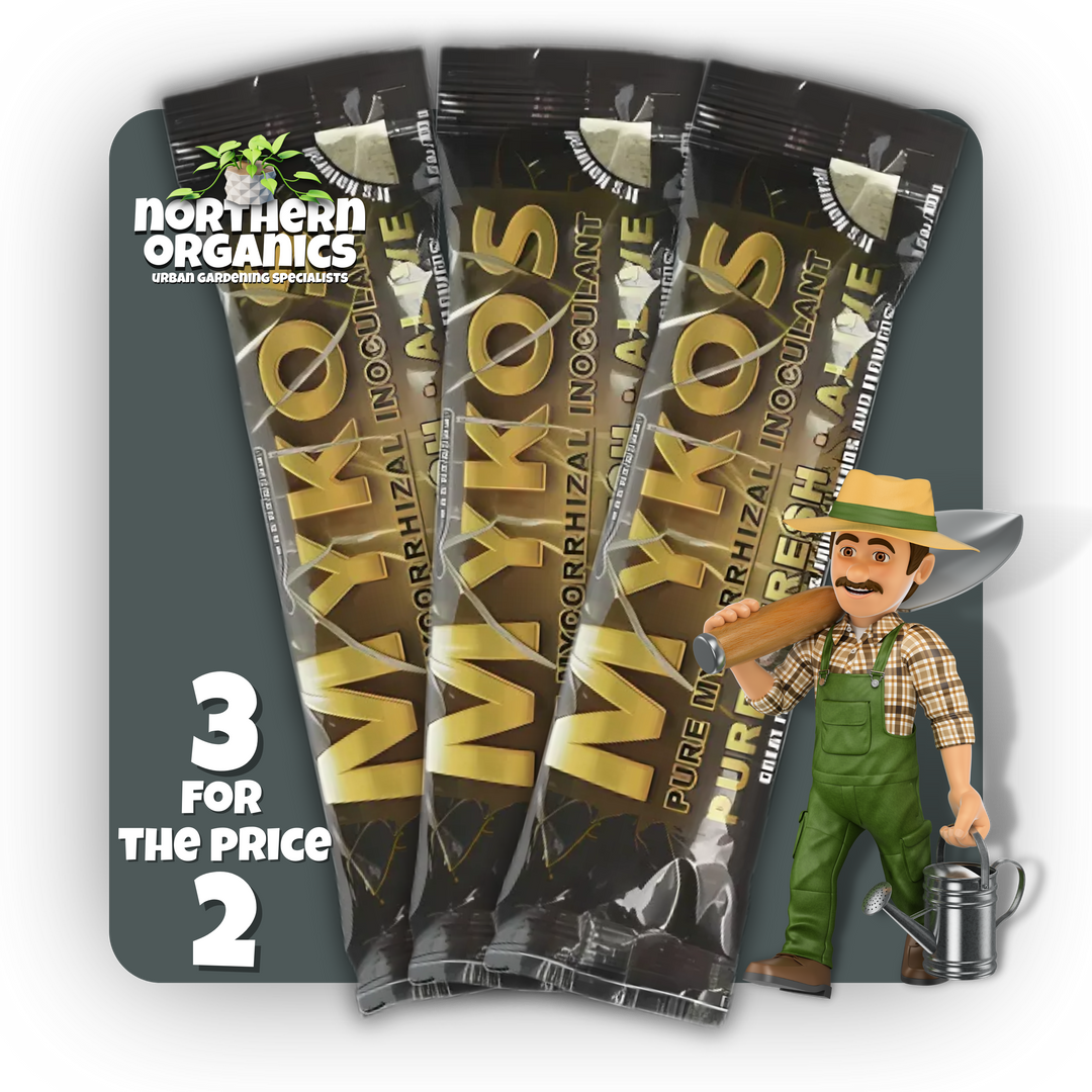 Mykos Multi-Buy (3 for 2)