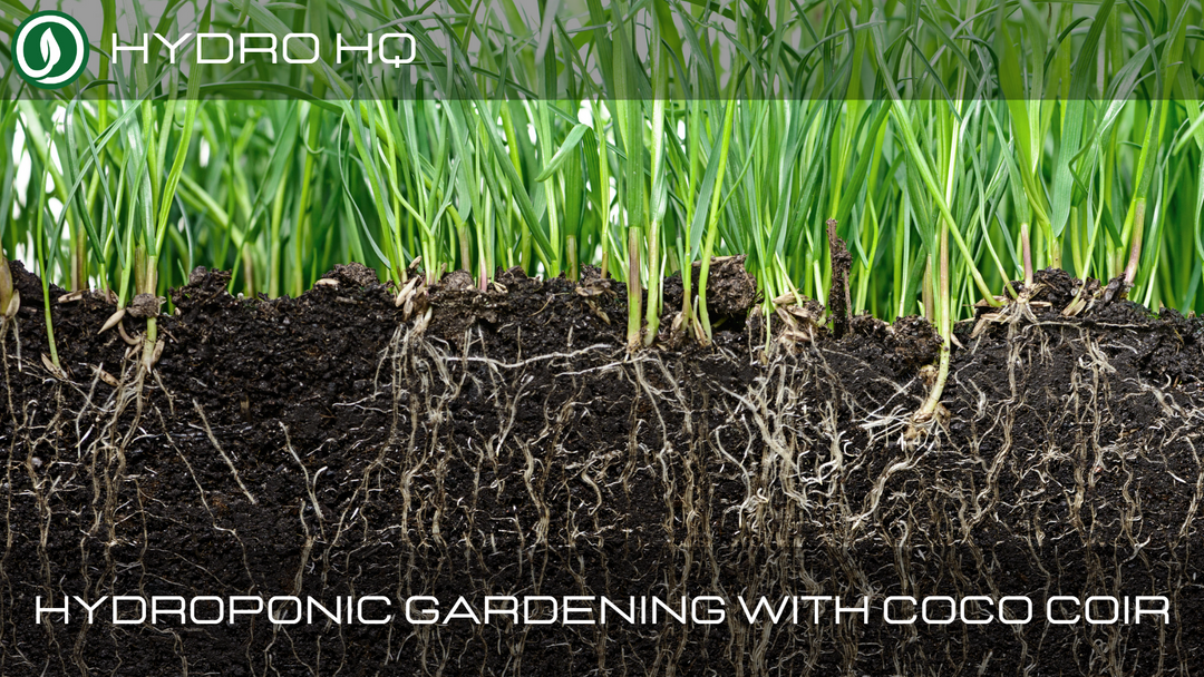 Hydroponic Gardening with Coconut Coir in a Drain-to-Waste System
