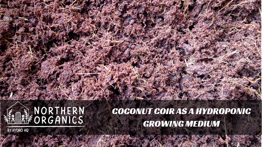 Coconut Coir as a Hydroponic Growing Medium