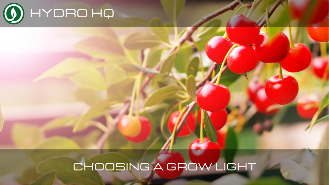Choosing the right grow light for you