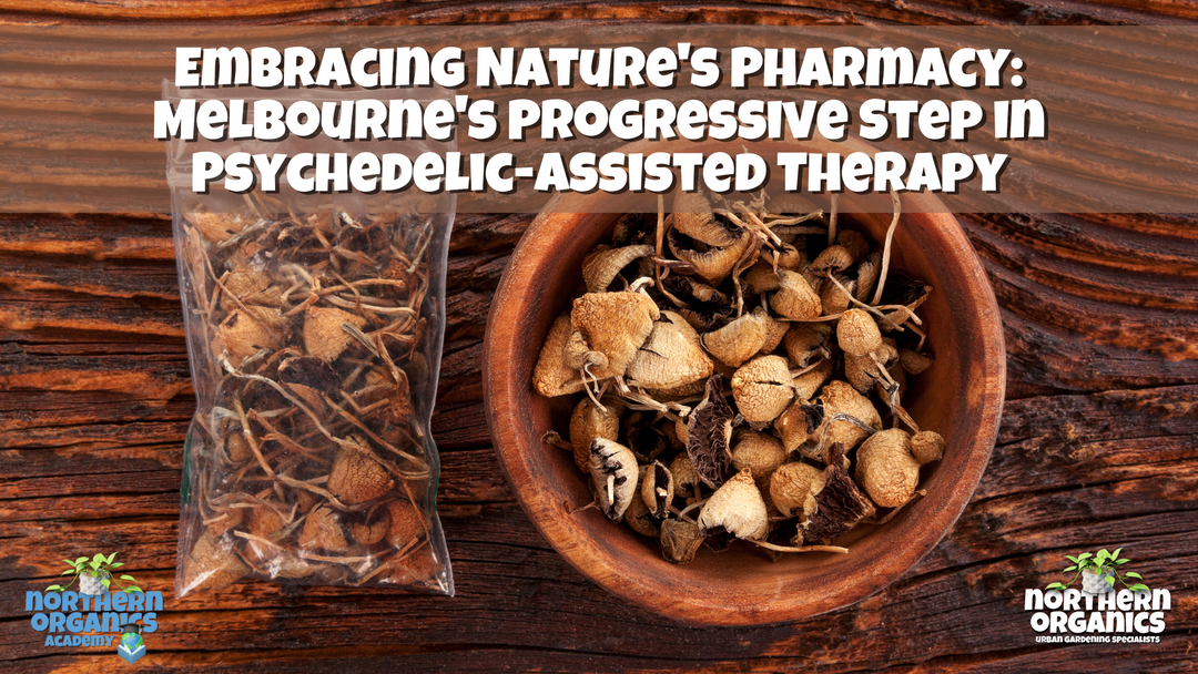 Embracing Nature's Pharmacy: Melbourne's Progressive Step in Psychedelic-Assisted Therapy