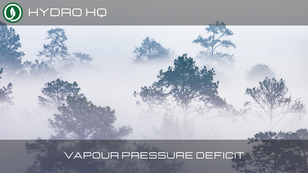 What is Vapour Pressure Deficit and How Does It Influence Plant Growth?
