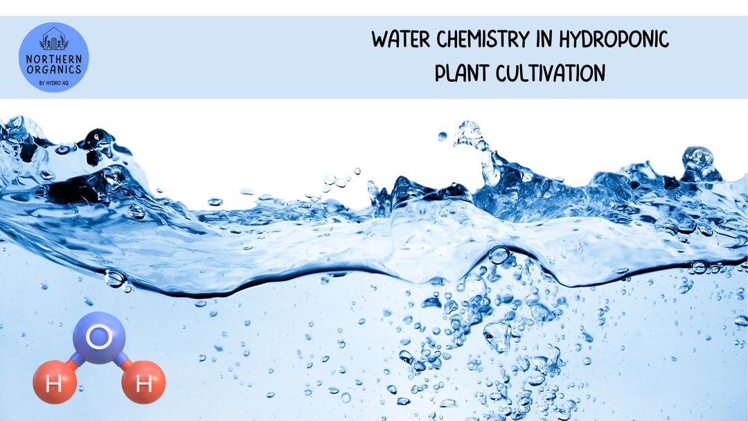 Water Chemistry in Hydroponic Plant Cultivation