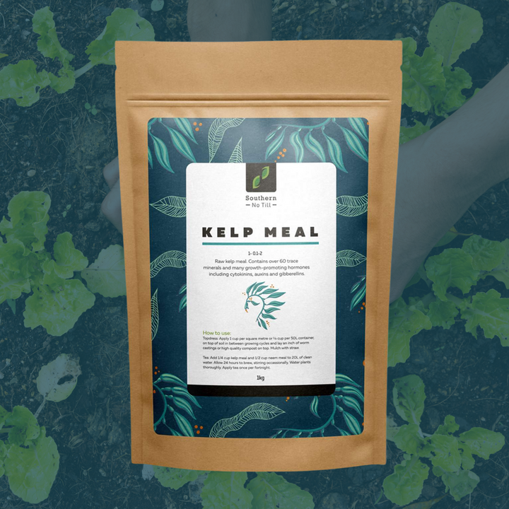 Kelp Meal