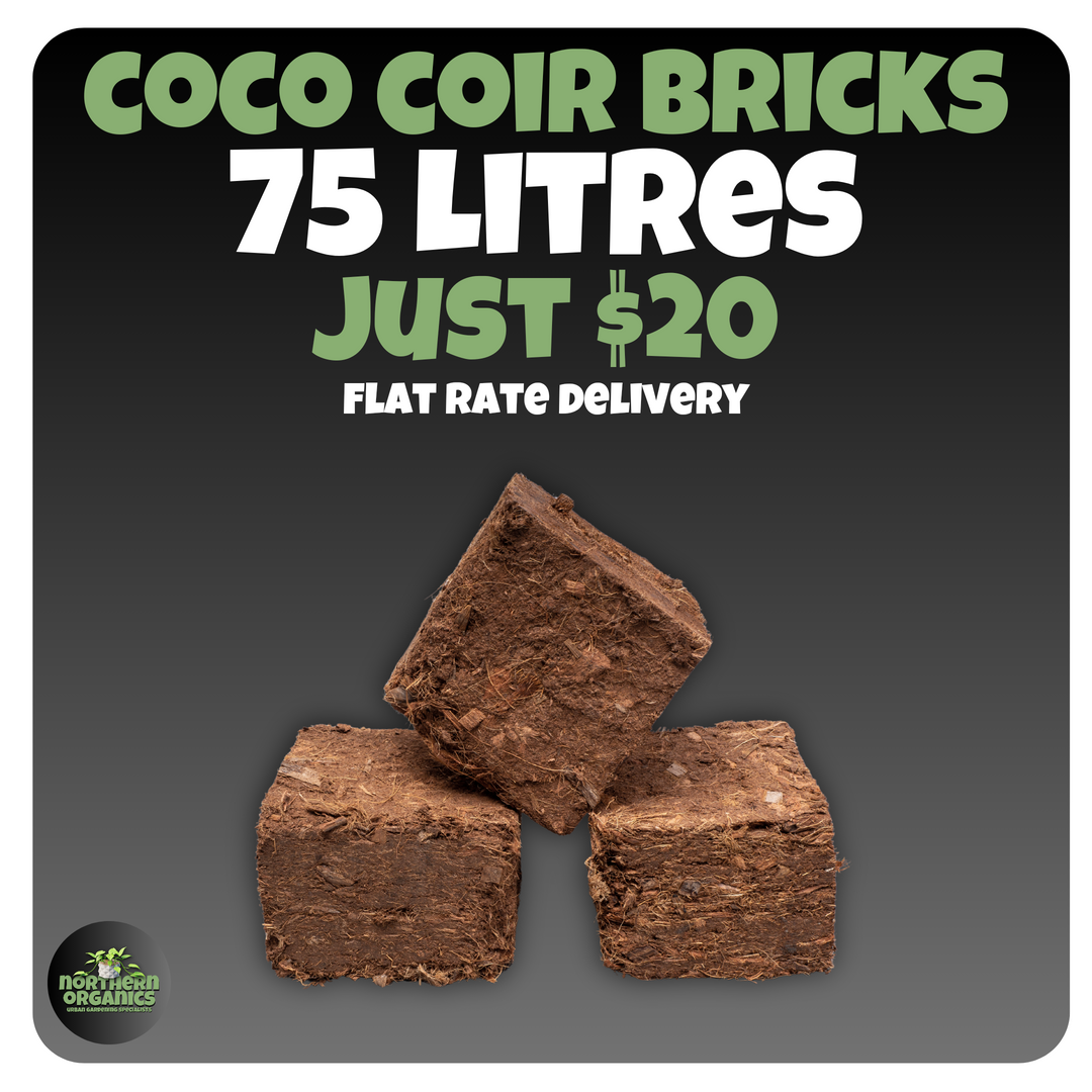 Coco House Coco Bricks