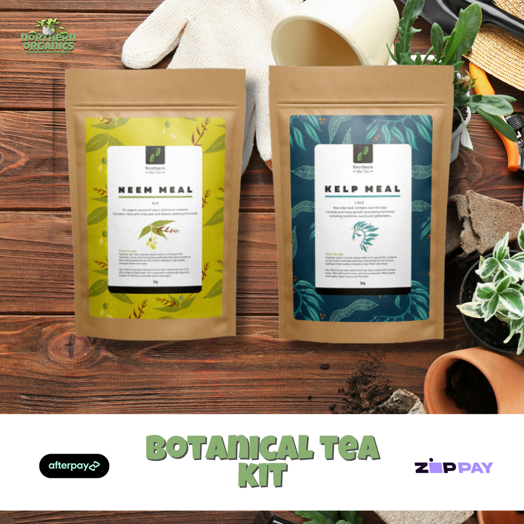 Botanical Tea Bundle