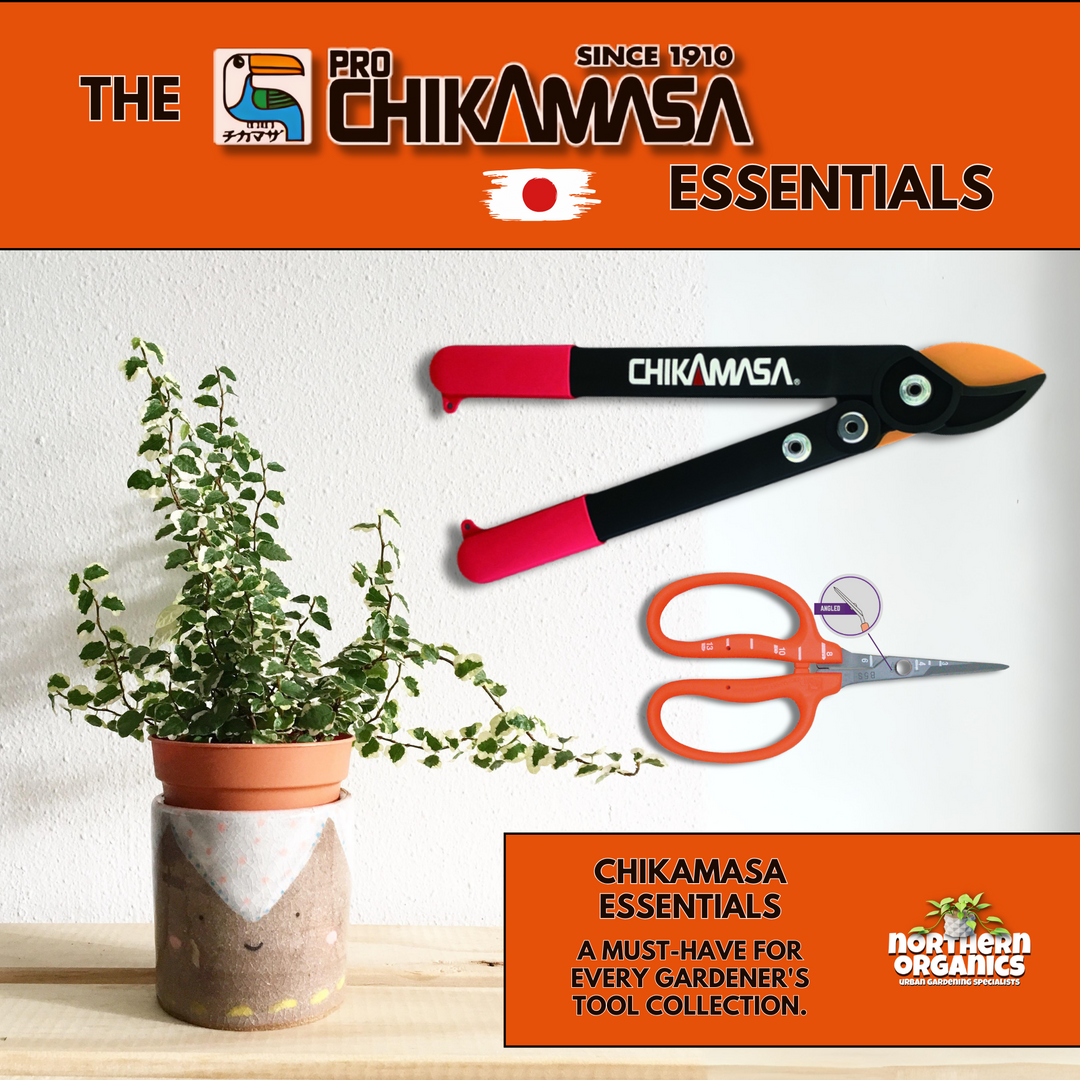 Chikamasa Essentials Kit