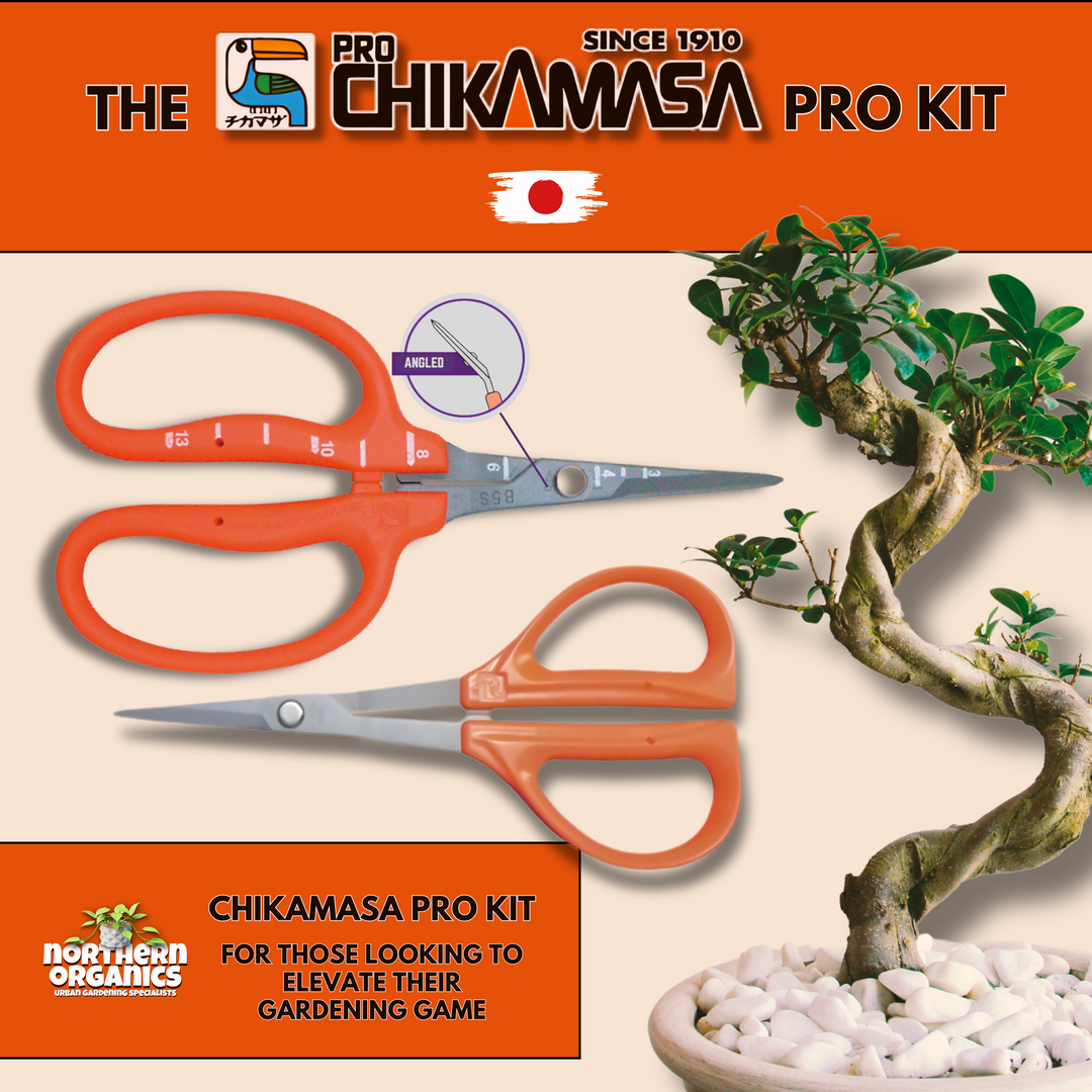 Chikamasa - Pro Kit