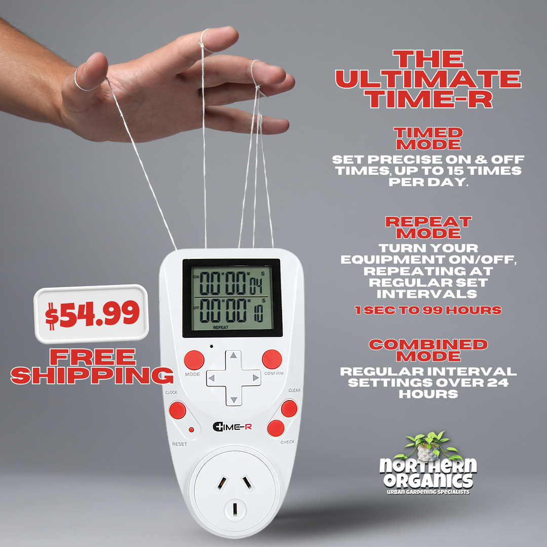 Time-R Digital Timer