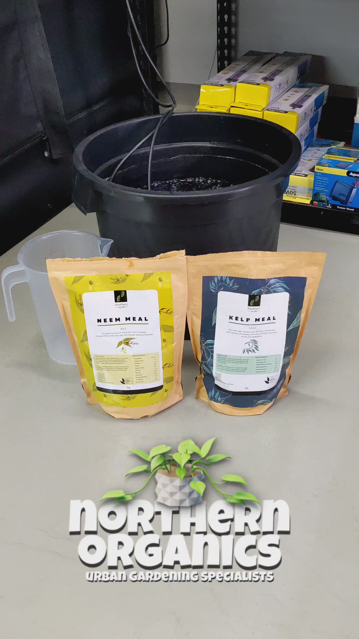 Botanical Brew Kit