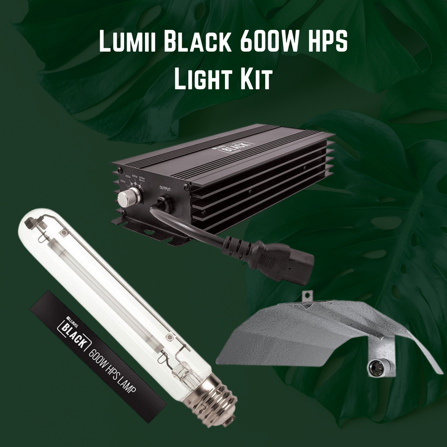 Lumii Black 600W Light Kit - HydroHQ