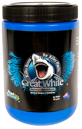 Great White - HydroHQ