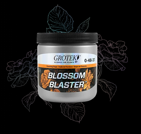 Grotek - Blossom Blaster - HydroHQ