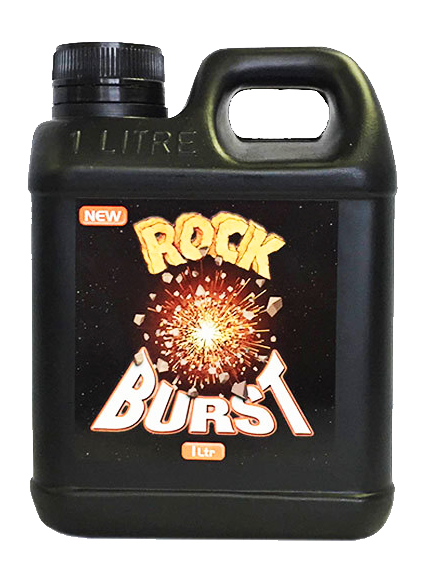 Rock - Burst - HydroHQ